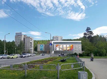 Кедр новоуральск