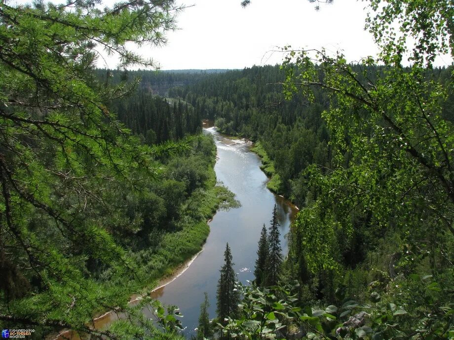 архангельск природа река пинега. река сотка пинежский район. река сотка. пинежский заповедник реки. пинежский заповедник река пинега.