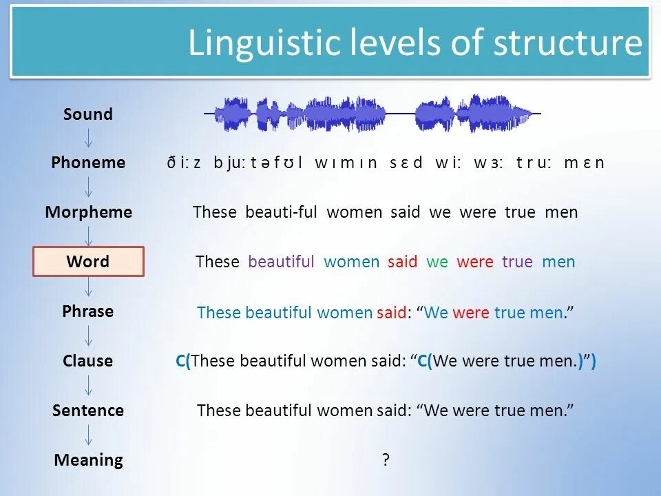 Levels of structure. Sound language. Произношение звуков в английском языке таблица для детей. Language and speech level. Branches of phonetics презентация.