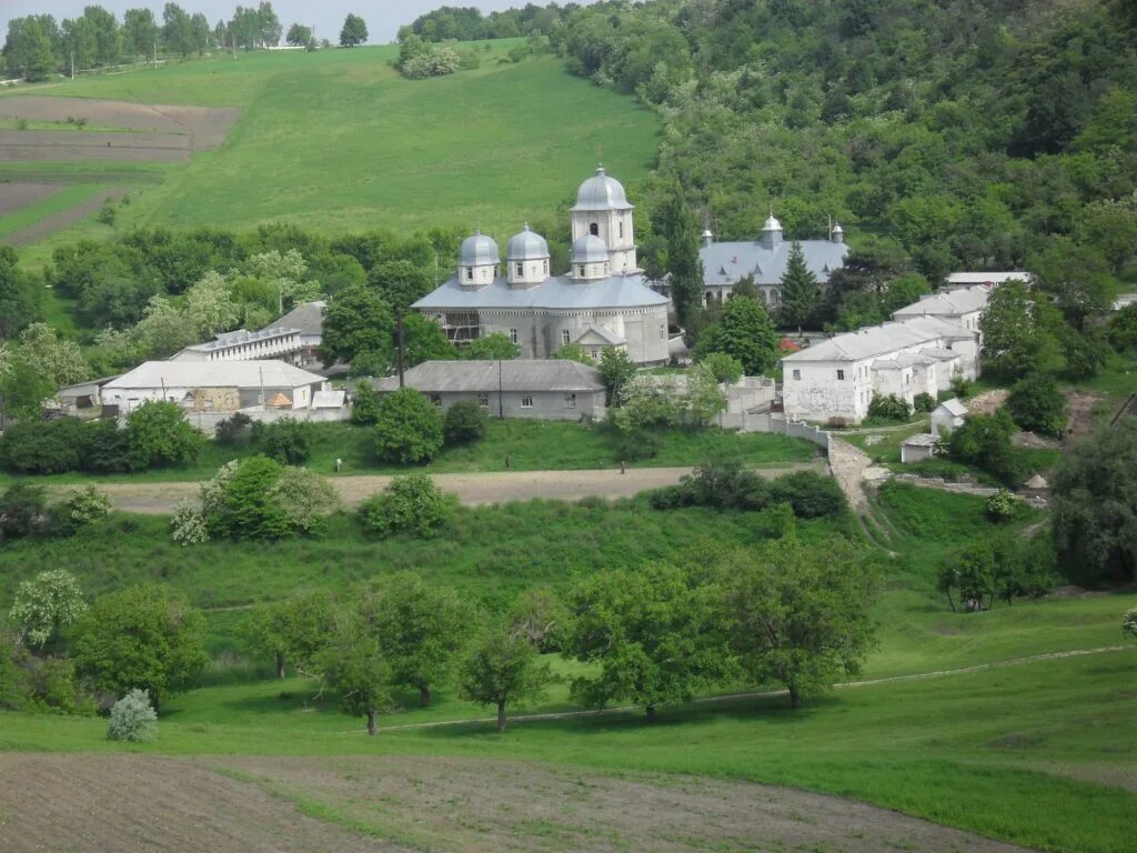 Свято николаевский мужской монастырь рыльск. Добрушский Николаевский монастырь. Монастырь Рэчула Молдова. Каприянский монастырь. Рыльский Молдова.