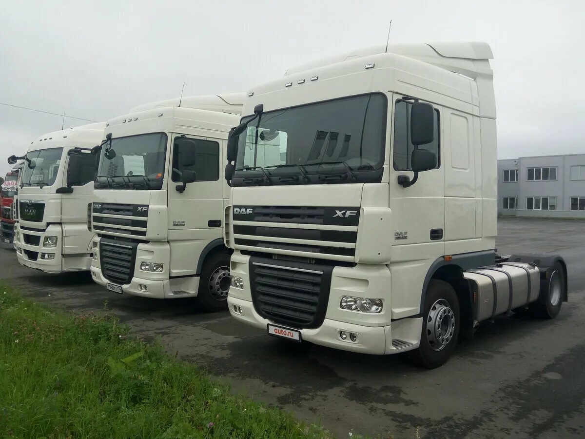 DAF XF 95 2006. DAF XF 105 белый. DAF XF 105 длинномер. DAF 95.430 cementovoz. Купить тягач свежие объявления