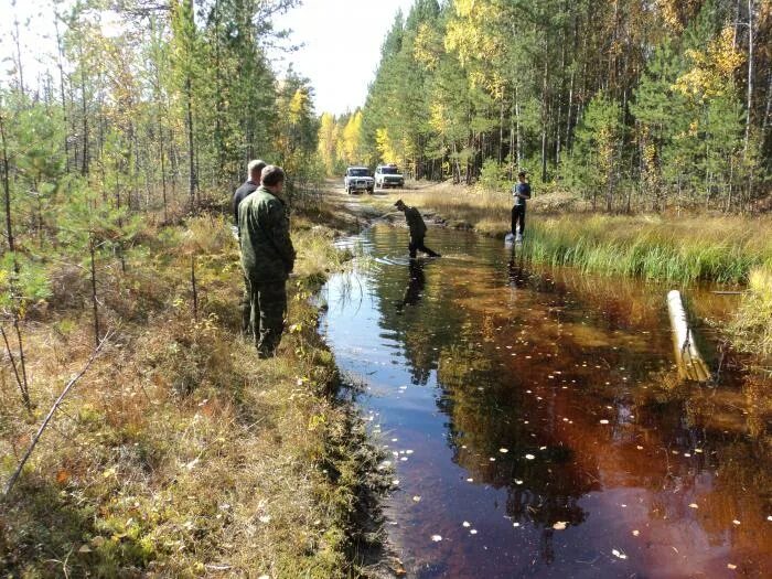 Таежные приключения. Канал Таежный. Таежные приключения ютуб. Фото таежных аномальные озер.