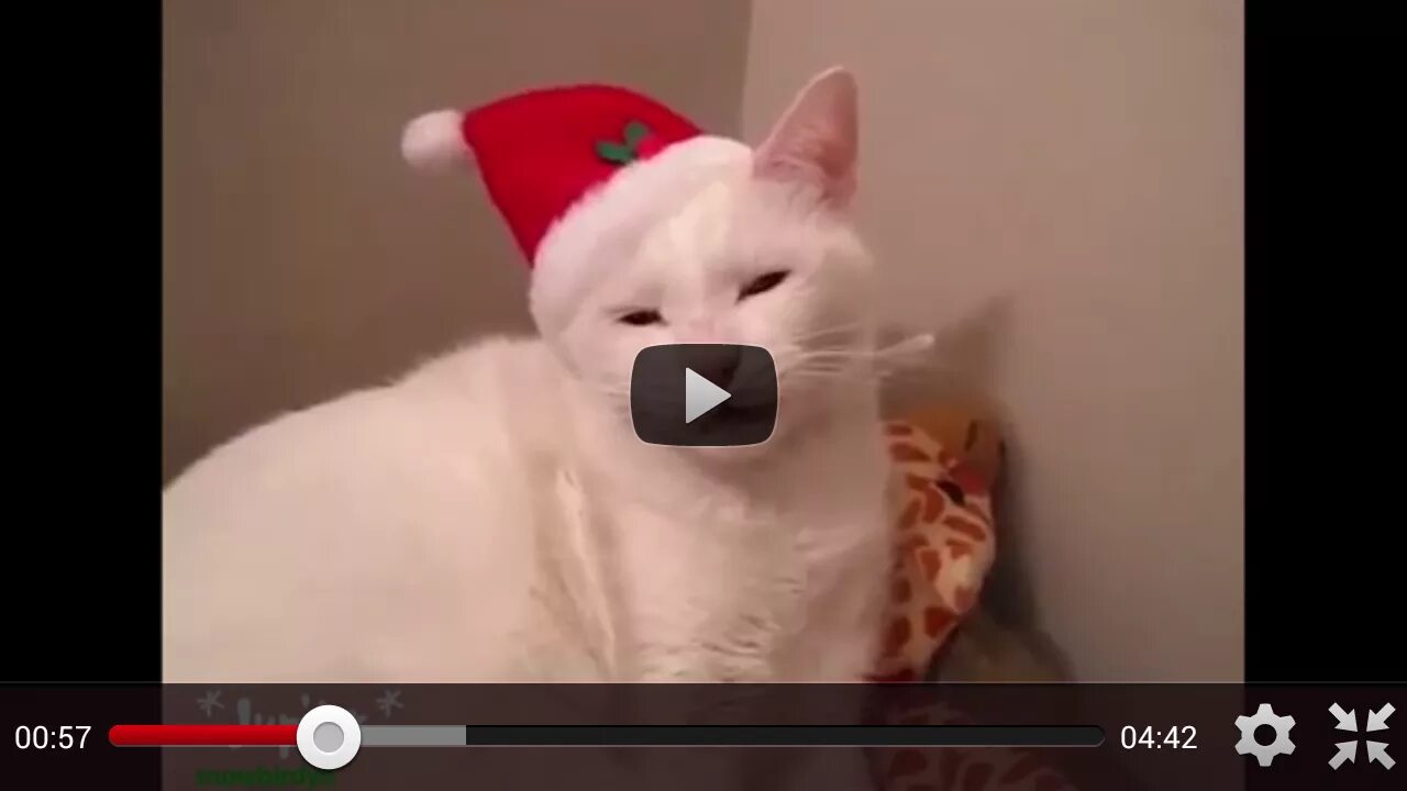 Короткие видеоролики для ватсапа. Приколы в ватсапе. Как разрезать видео на части. Видеоролики для ватсап. Заставка видеозвонка ватсап.