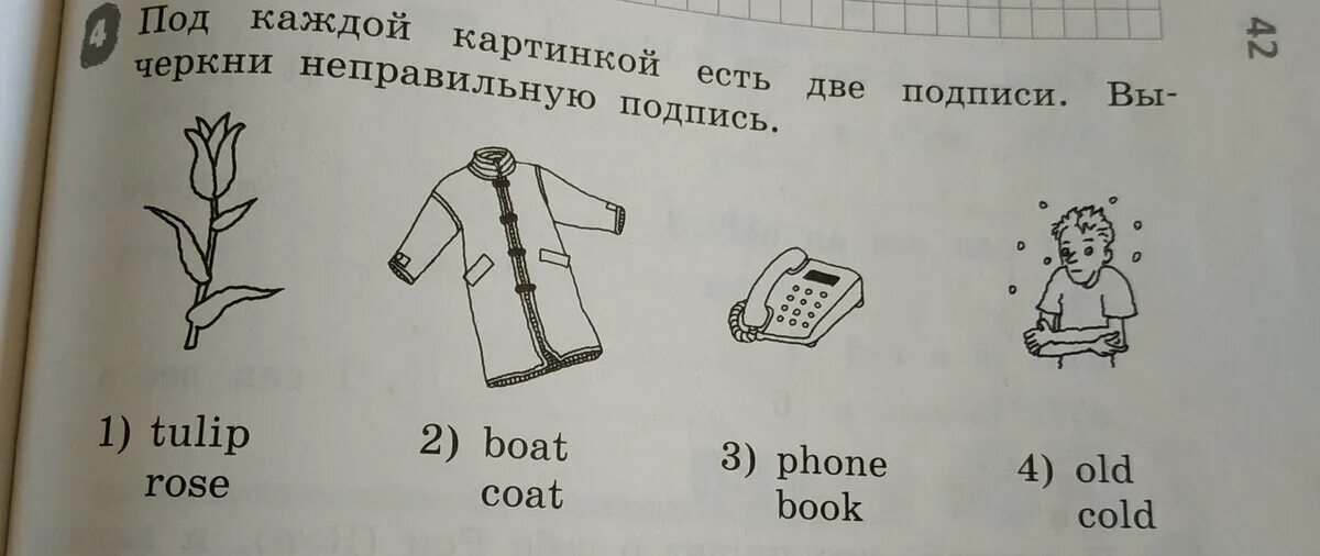 Английский язык 2 класс тетрадь страница 41. Английский язык 2 класс рабочая тетрадь степ 41. рейнбоу инглиш 2 класс рабочая тетрадь. step 41 2 класс рабочая тетрадь. английский сделай подписи под картинками.