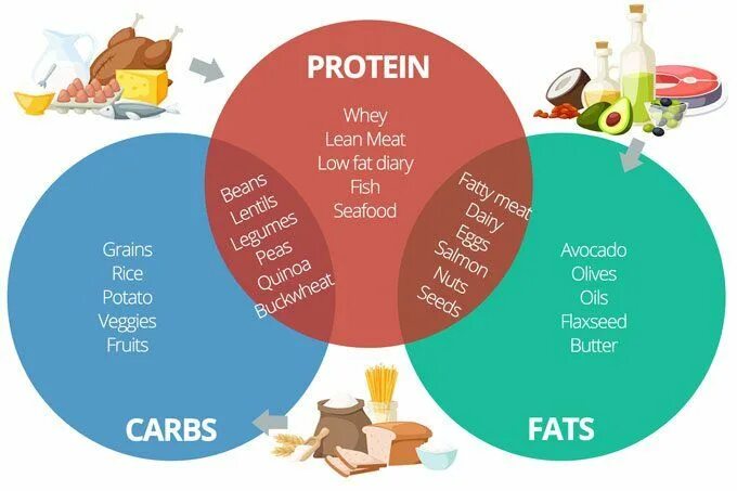 Lean close. Белки жиры углеводы. Proteins fats and carbohydrates схема. Белки жиры углеводы на английском. Белки и углеводы на английском.