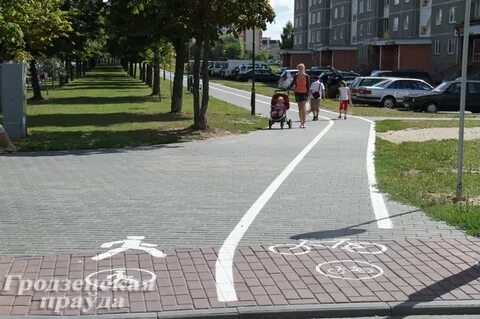 Дубко гродно