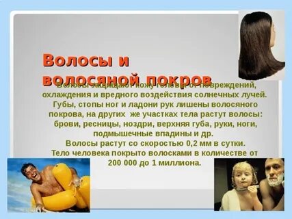 Густой волосяной покров на теле человека