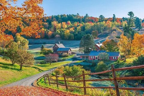 Город сельская местность