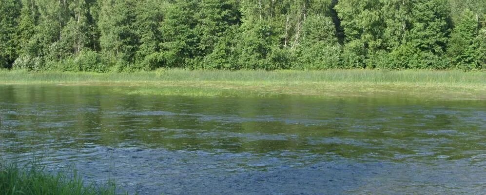Куракино вологодская. Куракино вологодская. Усадьба надеждино пенза. Куракино вологодская. Куракино вологодская.