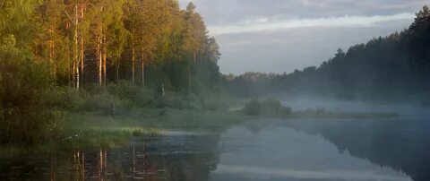 Коснулся луч