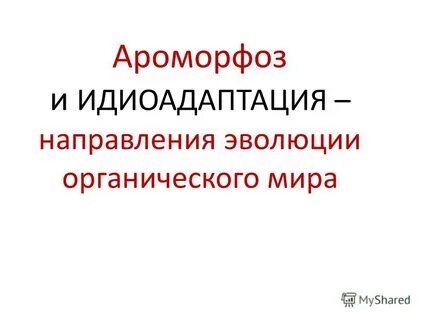 Эволюционное значение идиоадаптации насекомых