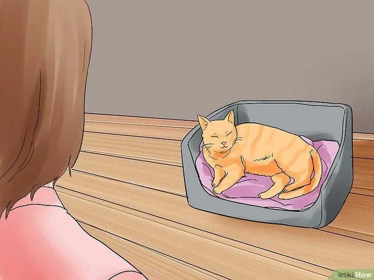 My cat is give. My cat is give