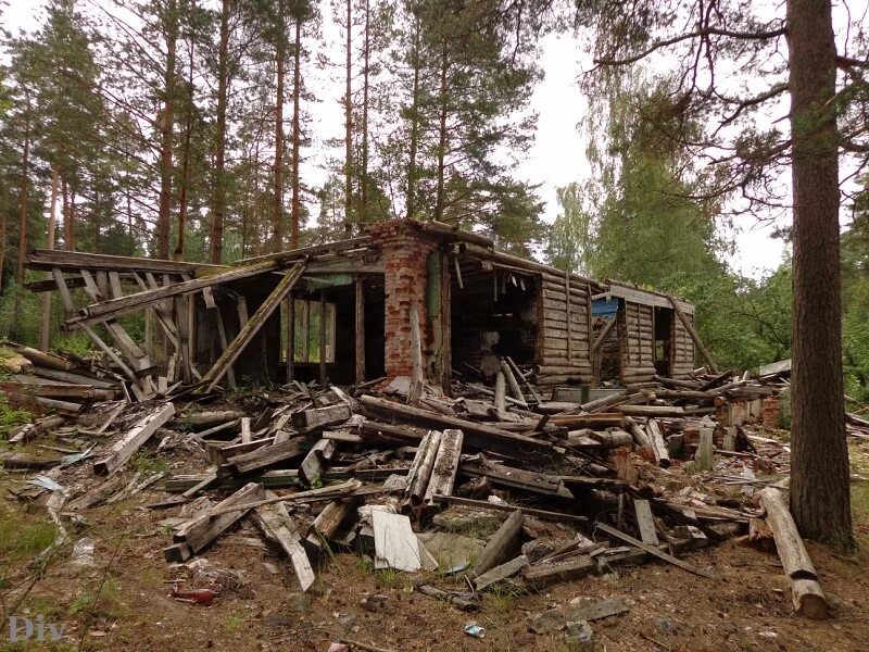 Лагерь атмосфера. Пионерский лагерь атмосфера луга. заброшенный лагерь атмосфера город луга. луга река заброшенный детский лагерь. пионерский лагерь атмосфера луга фото.