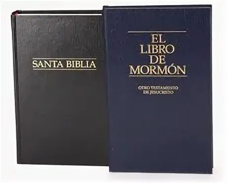 Libro de