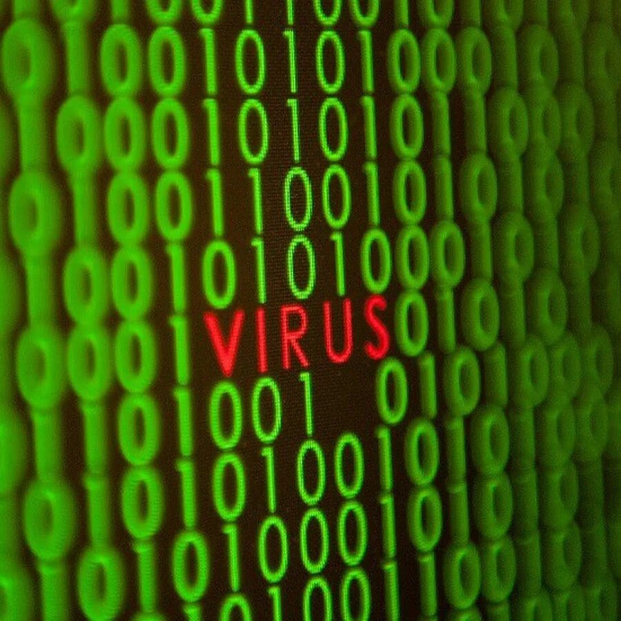 Компьютерные вирусы картинки нормальные. Компьютерный вирус фото d. Компьютерный вирус длинное фото. ПК вирус иллюстрация. Complete virus