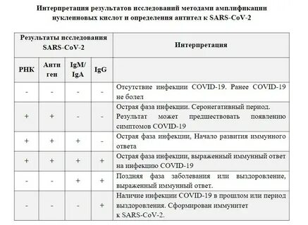 Интерпретация результатов анализов
