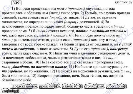 Вопреки предсказанию старожилов было тепло