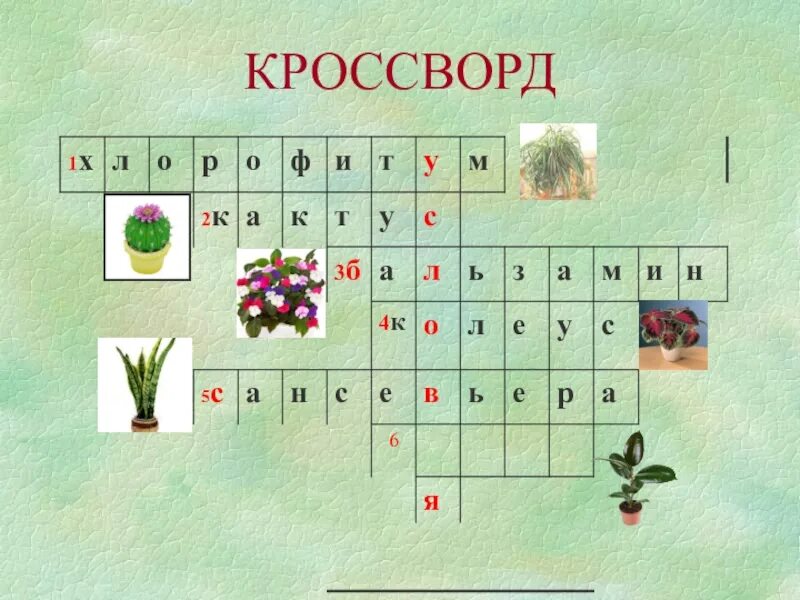 Кроссворд растения. Кроссворд на тему растения. Кроссворд комнатные растения. Кроссворд на тему цветы. Комнатное растение 7 букв на д сканворд