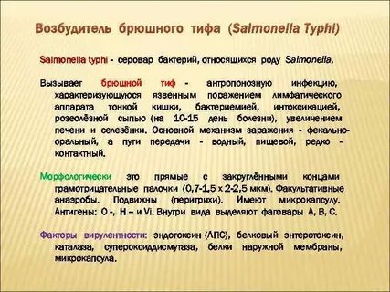 Пути передачи брюшного тифа