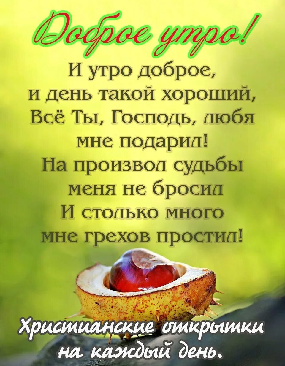 Православные поздравления утро. Христианские пожелания с добрым утром. Христианские открытки с добрым утром. Православные пожелания с добрым утром. Христианские пожелания доброго утра.