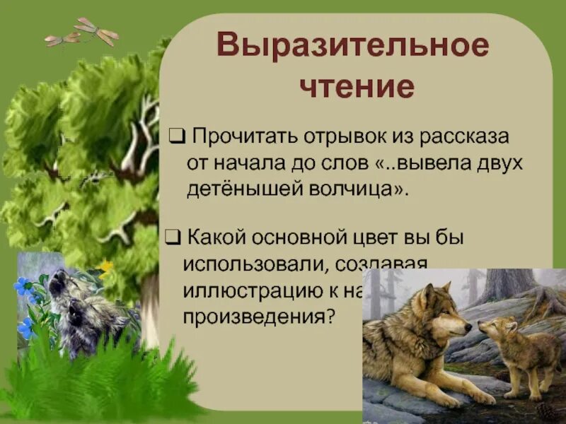 Выразительно прочитайте фрагменты