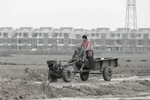 Урбанизация и сельское хозяйство