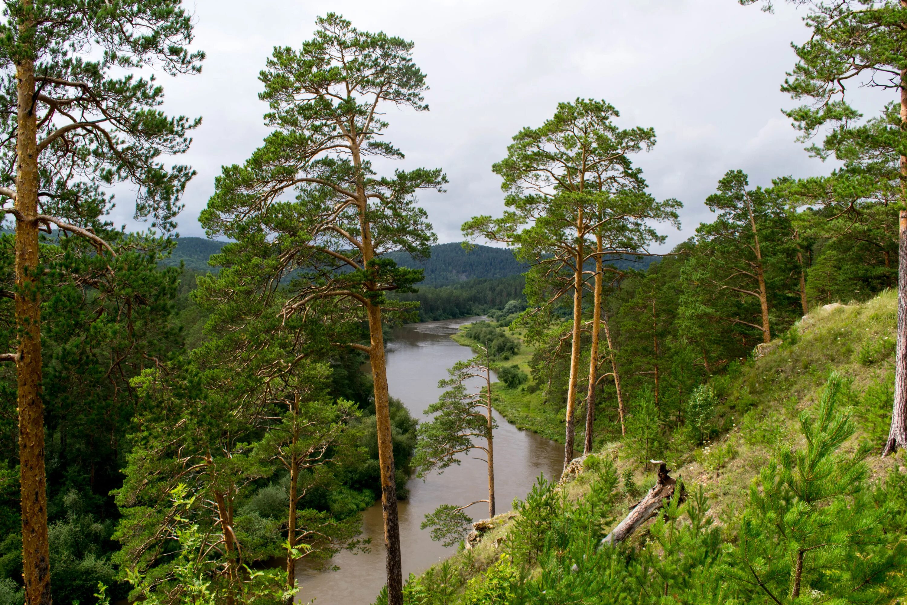 куса урал. город куса аргус. куса речки с полянами в барочной. скала аргус куса. гора аргус город куса.