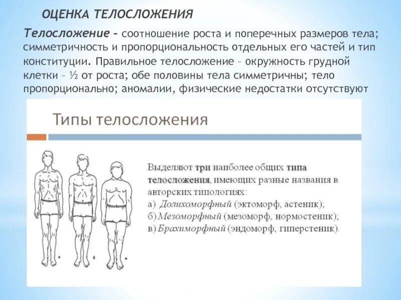 Как определяют конституцию человека. Конституционный Тип телосложения. Методы оценки типа телосложения Конституции тела. Типы телосложения пациента. Долихоморфный Тип телосложения.