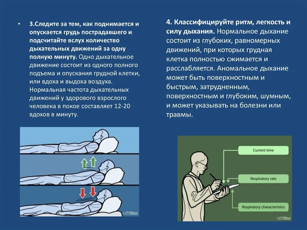 Воздействие холода на дыхательную систему. Влияние холода на частоту дыхательных движений. Оценка состояния дыхательной системы у пострадавшего. Глубина дыхательных движений.