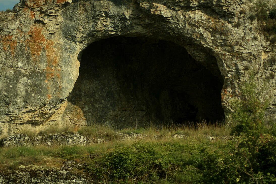 Волчье логово волков. Логово это. Логово волка. Логово это. Нора волка.