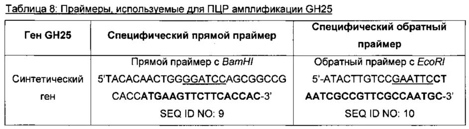 Обратный праймер