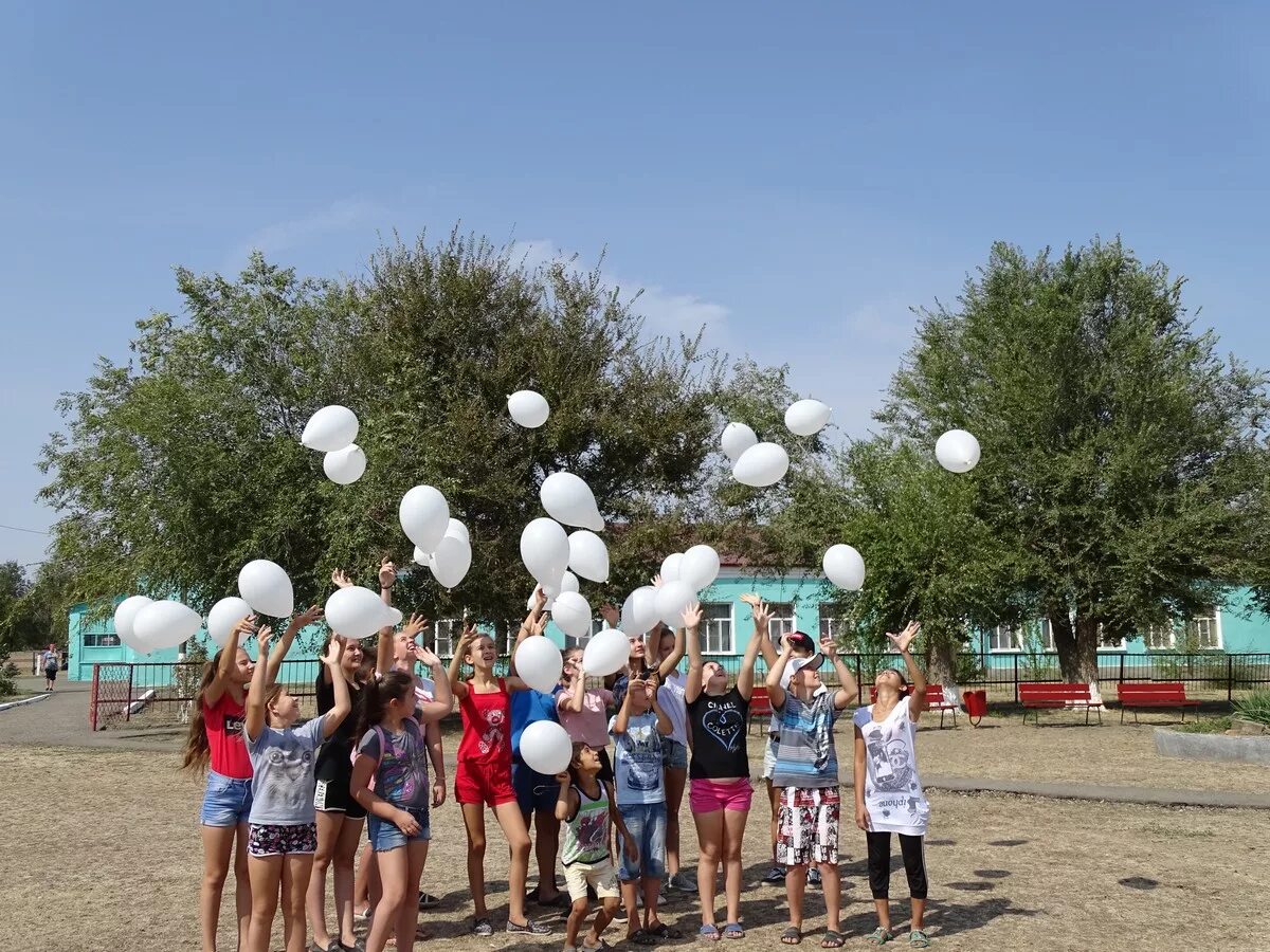 Погода село богородицкое песчанокопский район ростовская область. Песчанокопское Ростовская область. Население села Песчанокопское Ростовской области. С Песчанокопское Песчанокопский район Ростовская область. Село Песчанокопское Ростовской области население.