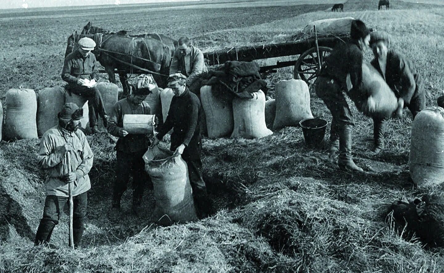 Колхоз хх. Сельское хозяйство в 30-е годы в ссср. колхоз 1930 коллективизация. раскулаченные крестьяне курская. крестьяне 1930.