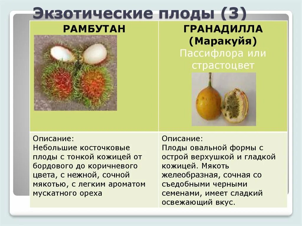 Орган который впоследствии образуется плоды с семенами. Экзотические плоды классификация. Экзотические плоды доклад. Характеристика свежих плодов экзотические. Экзотические плоды презентация.