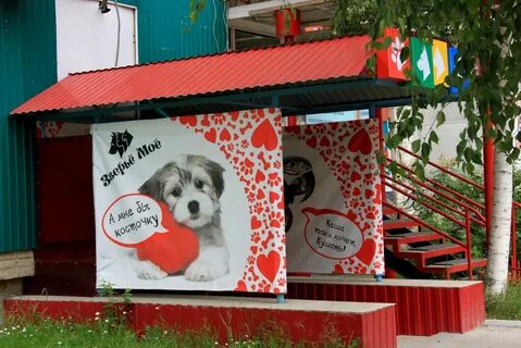 Магазин кот и пес