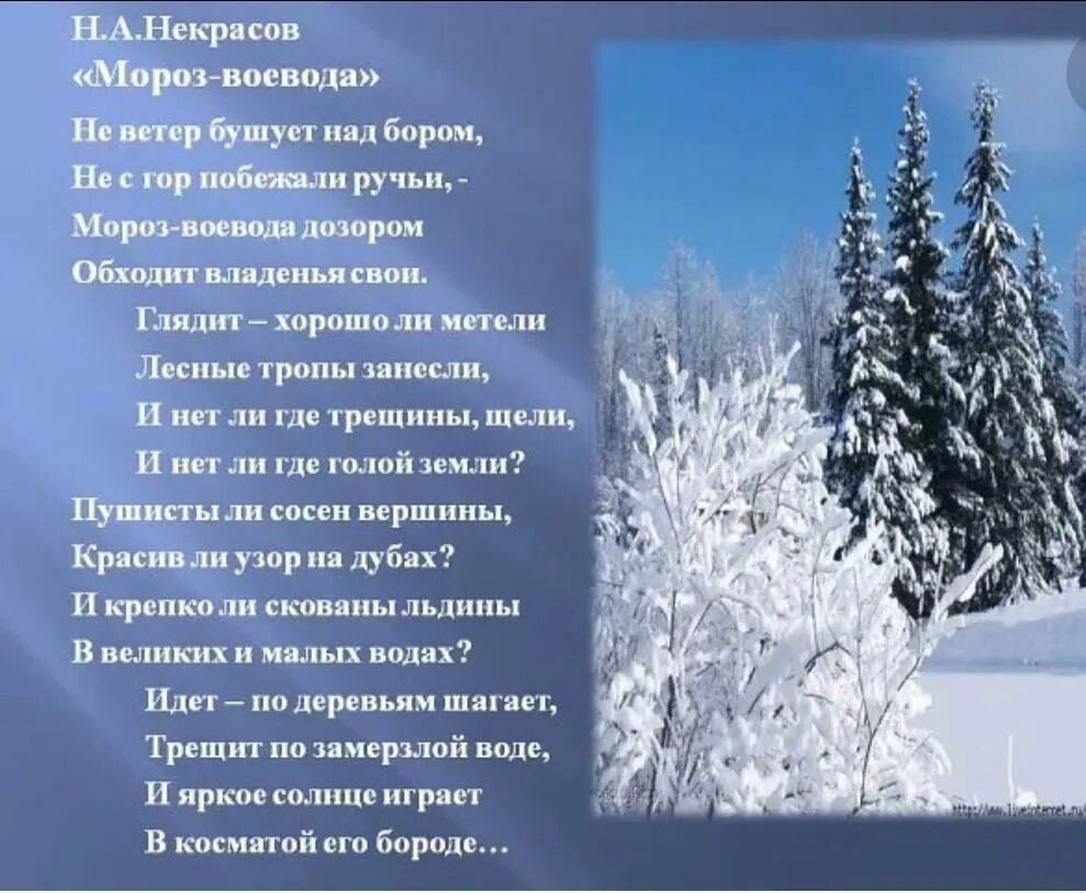 Какие слова есть мороз. Стих н Некрасова про Мороза воеводу. Стихотворение Мороз Воевода дозором. Некрасов Мороз Воевода стихотворение.