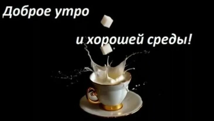Доброе утро среда хорошего дня прикольные. Доброе утро среда. доброе утро среды мужчине. доброе утро хорошей среды. утро среды.