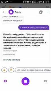 Номер 4 алиса номер 2