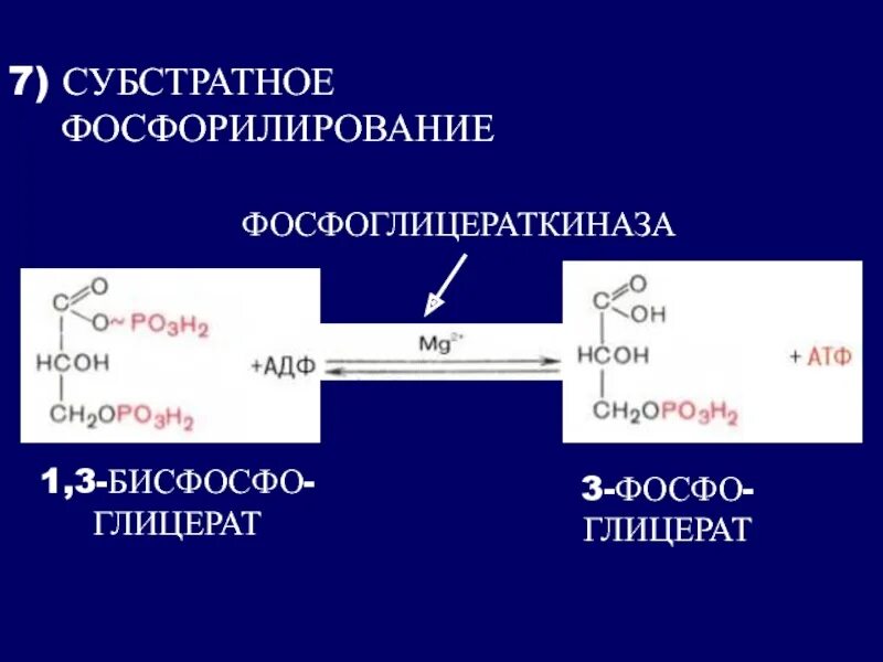 Окислительное фосфорилирование в процессе гликолиза. Типы субстратного фосфорилирования. пути синтеза атф субстратное фосфорилирование. субстратное фосфорилирование схема. механизм субстратного фосфорилирования.