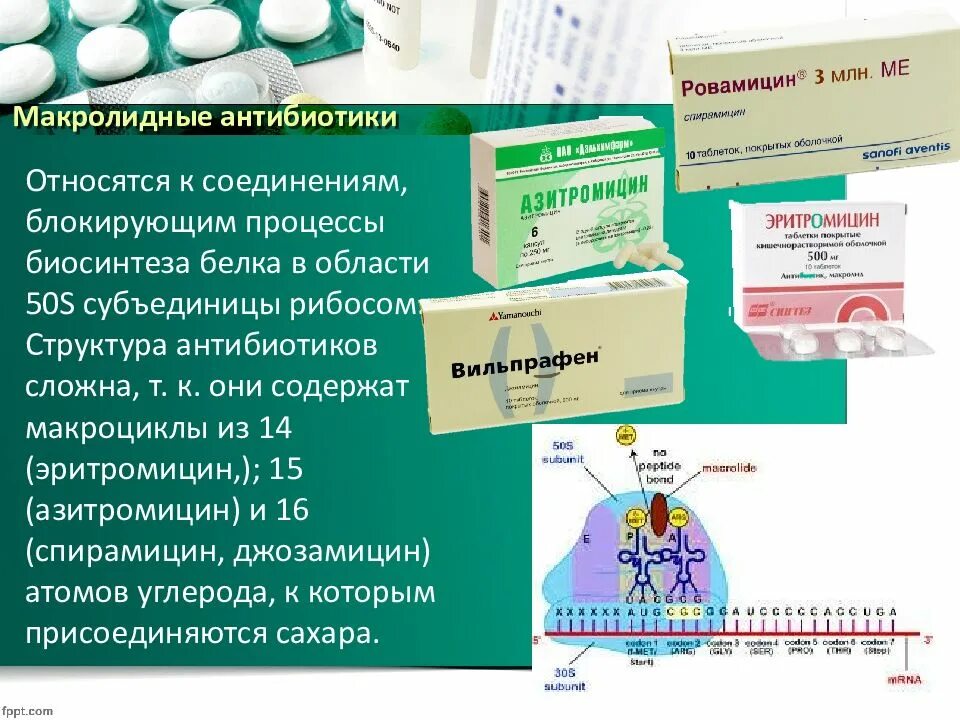 Сколько в организме антибиотики. Современные антибиотики. Антибиотики при воспалительном процессе. Известные антибиотики. Антибактериальные растворимые антибиотики.