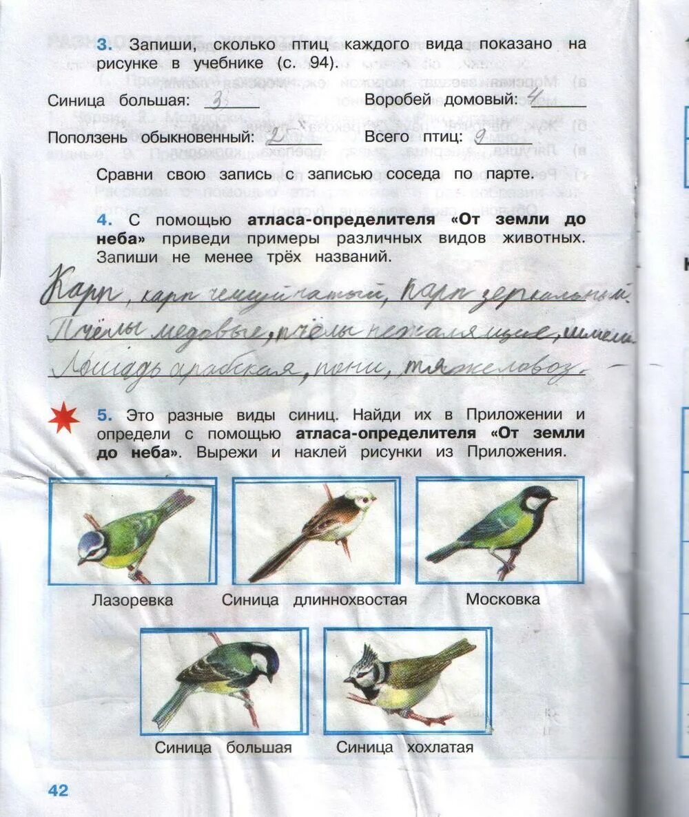 Окр мир 3 класс стр 52. Окруж мир 3 класс рабочая тетрадь стр 54. окружающий мир 3 класс рабочая тетрадь 1 часть стр 54. окружающий мир 3 класс рабочая тетрадь 2 часть стр 54. окружающий мир 3 класс рабочая тетрадь 1 часть стр 54 номер 5 ответы.