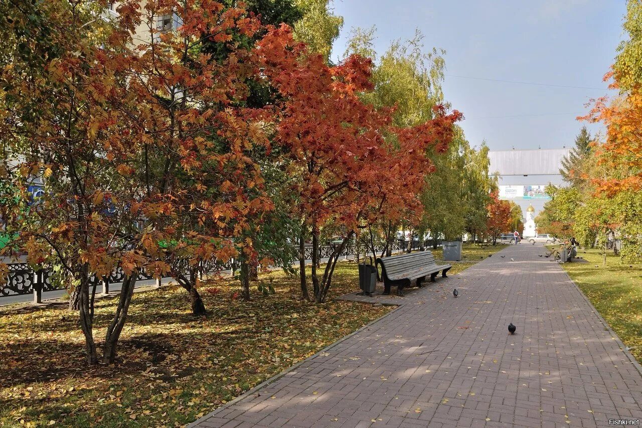 Михайловская набережная новосибирск с высоты. Новосиб парк осень. Бугринский мост осенью. Новосибирск утро набережная. Осень в новосибирске.
