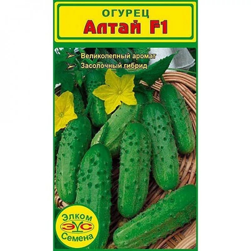 Партенокарпический сорт огурцов. Лучшие сорта огурцов для теплицы самоопыляемые. Семена огурцов для открытого грунта самоопыляемые для сибири. Длинные огурцы сорта. Огурцы для открытого.