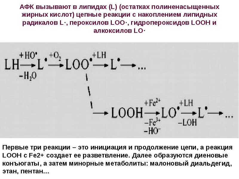 Пол липидов. Реакция перекисного окисления жирных кислот. Перекисное окисление липидов. Перекисное окисление липидов формула. Перекисное окисление жиров реакция.