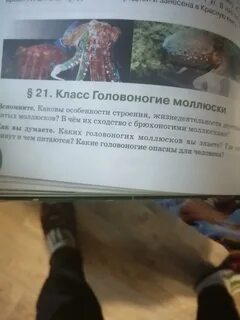 21 краткое содержание