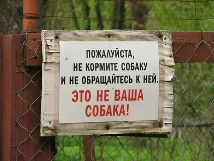 Картинки приколы с надписями ржачные про