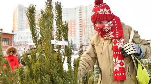 Елочный базар екатеринбург