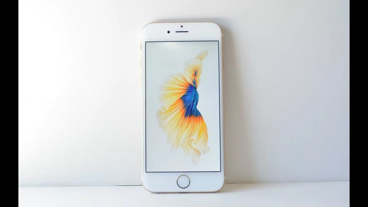 Iphone 6s год. Обои на айфон 6s. обои на айфон 6. оригинальные обои iphone 6s. iphone 6s на красивом фоне.
