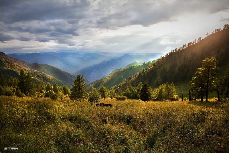 Алтай солнце Чемал. Алтайские пейзажи. Рассвет в горах Алтая. Солнечная Долина пейзаж.