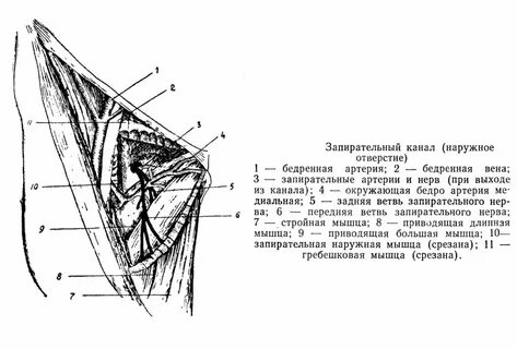 Запирательный канал